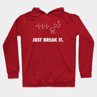 Just Break It. Hoodie